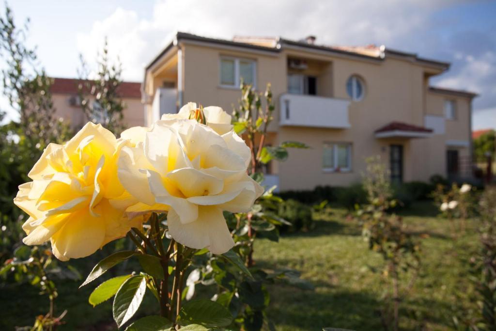 Apartments Emma Biograd Na Moru Ngoại thất bức ảnh